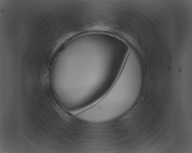 X0000081591356200701151015