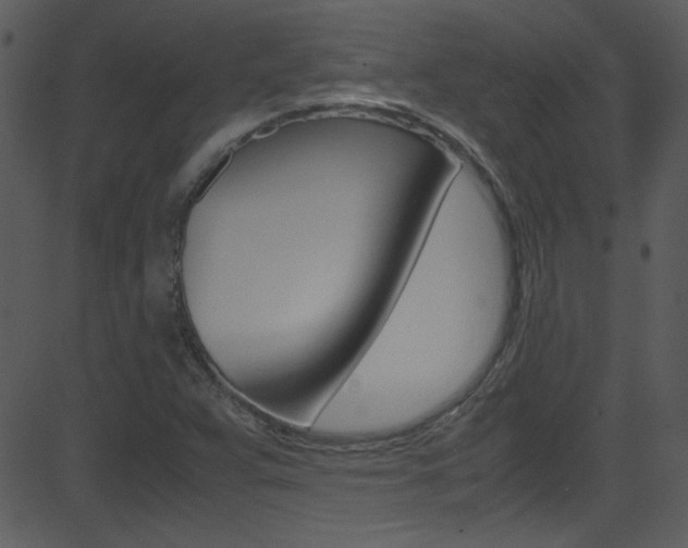 X0000081591359200701151015