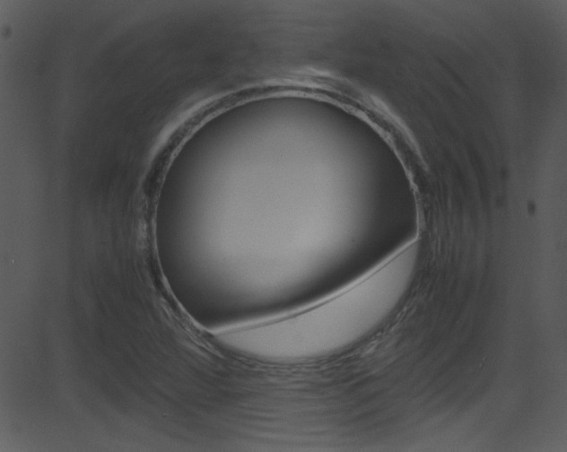 X0000081591360200701151015