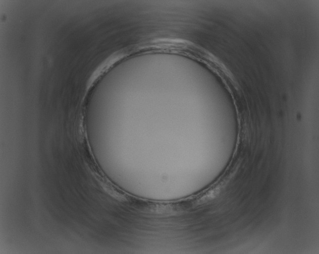 X0000081591362200701151015