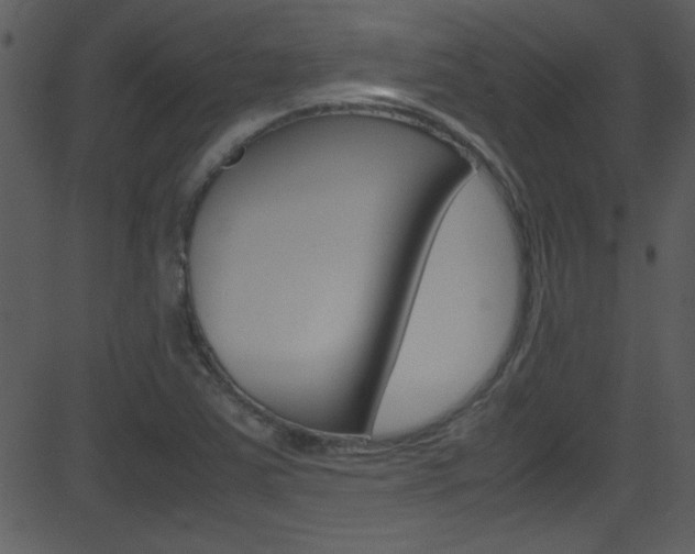 X0000081591363200701151015