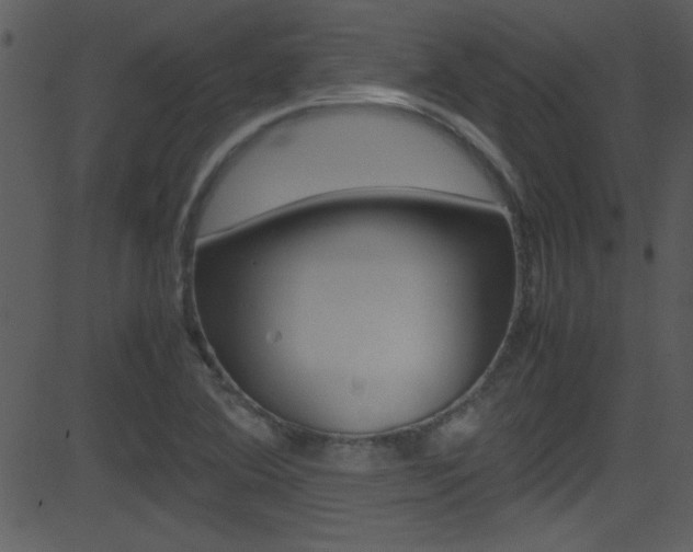 X0000081591364200701151015