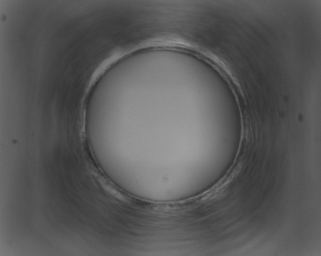 X0000081591366200701151015