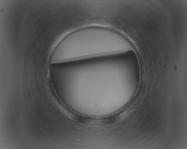 X0000081591367200701151015