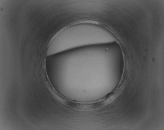X0000081591369200701151015