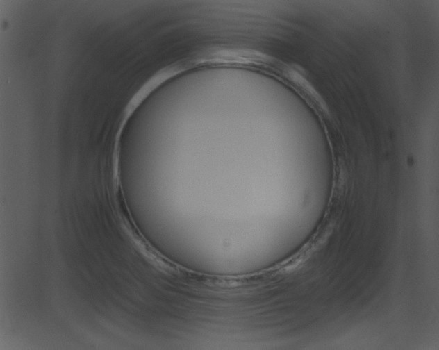 X0000081591370200701151015
