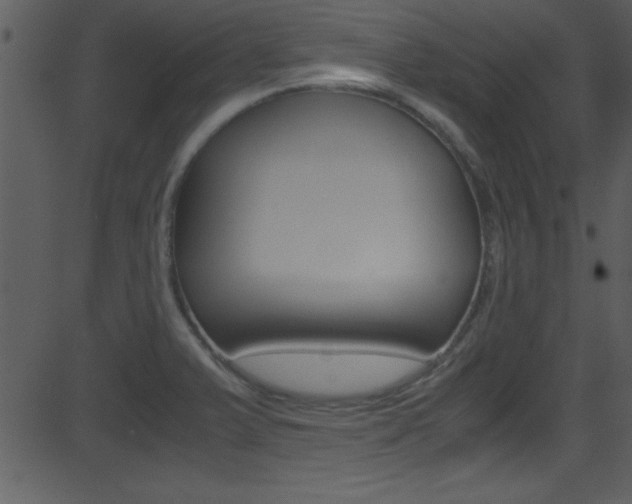 X0000081591375200701151015