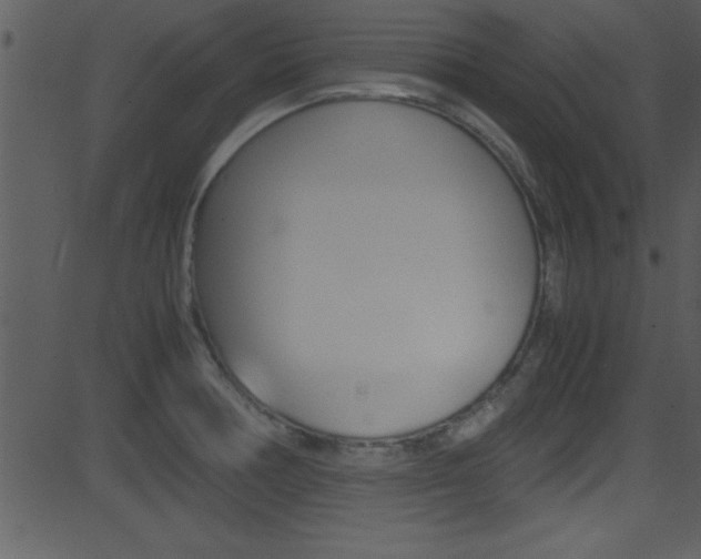 X0000081591378200701151015