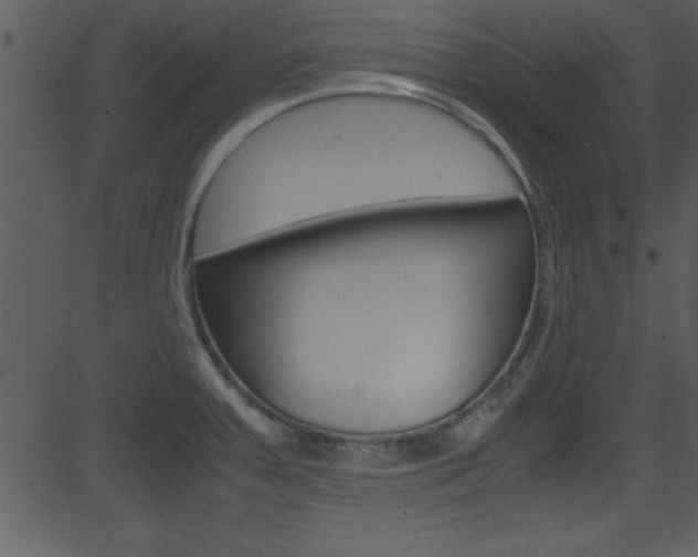 X0000081591379200701151015