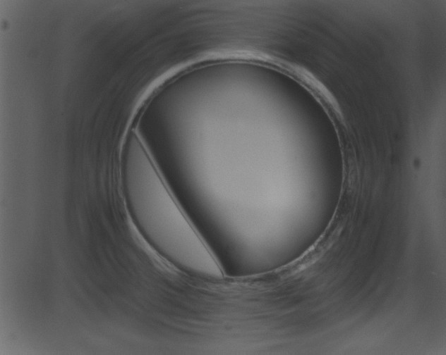 X0000081591380200701151015
