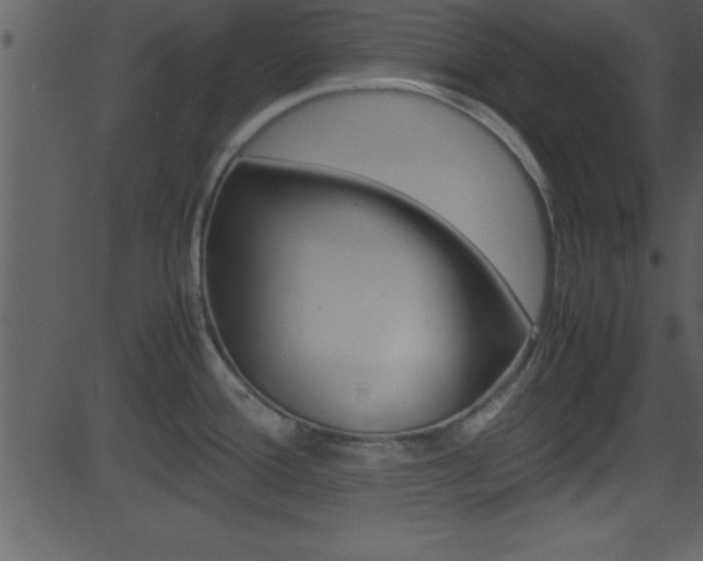 X0000081591388200701151015