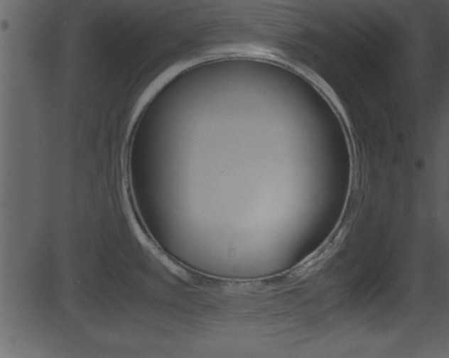 X0000081591389200701151015