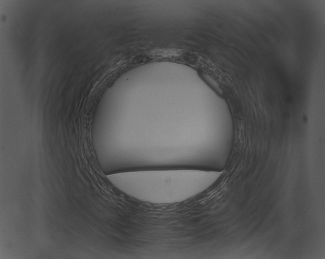 X0000081591393200701151014