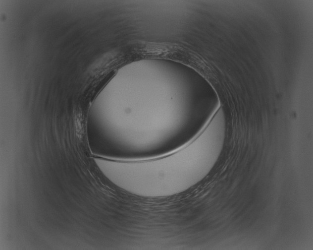 X0000081591394200701151014