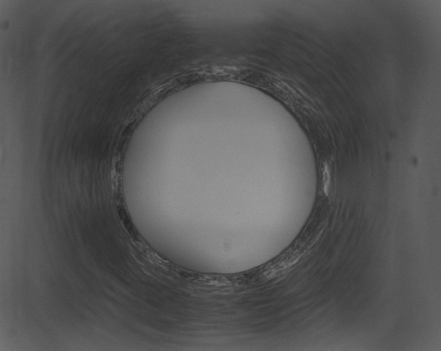 X0000081591395200701151014