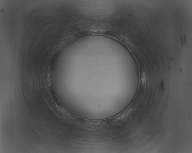 X0000081591396200701151014
