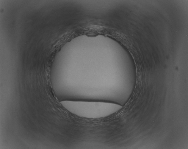 X0000081591397200701151014