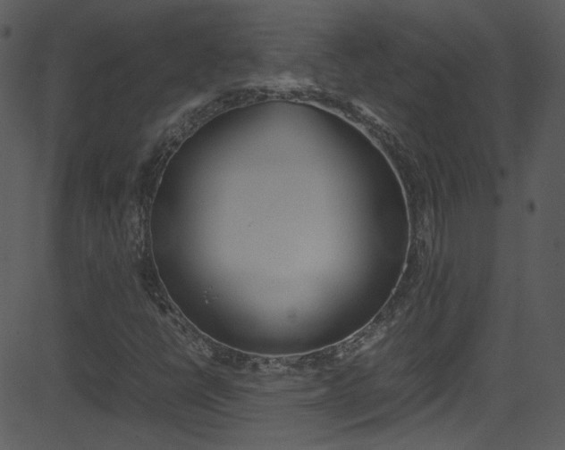 X0000081591398200701151014