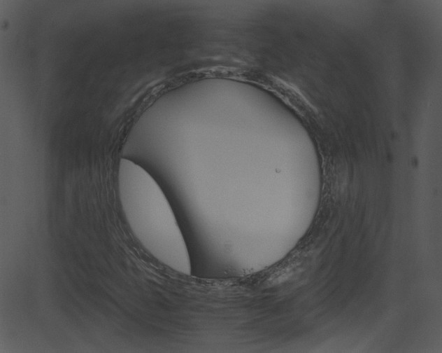 X0000081591399200701151014
