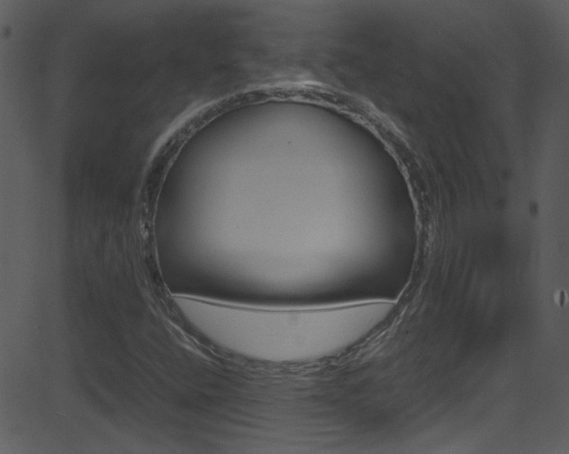 X0000081591400200701151014