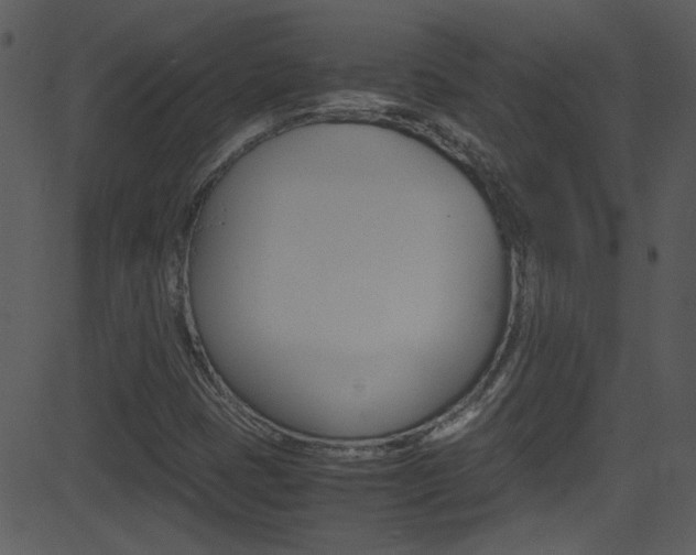 X0000081591401200701151014