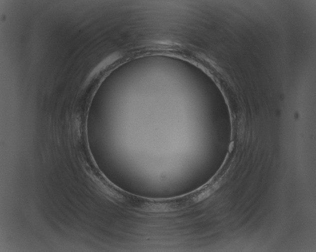 X0000081591402200701151014