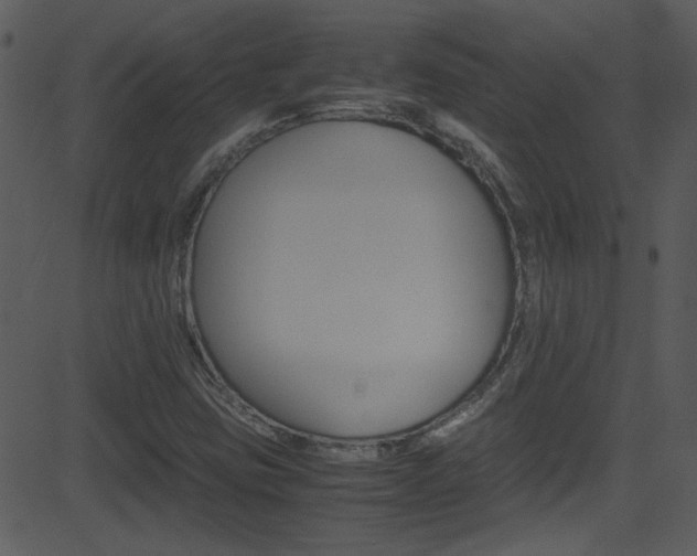 X0000081591403200701151014