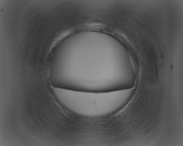 X0000081591405200701151014