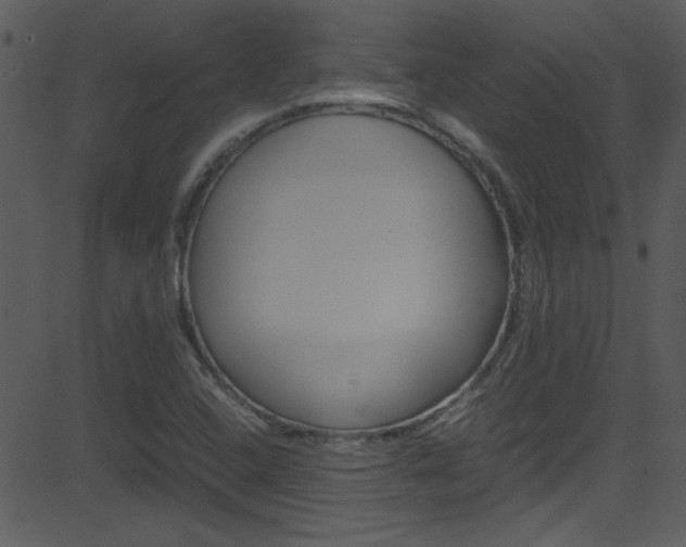 X0000081591408200701151014