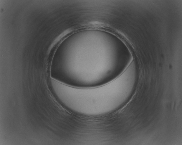 X0000081591410200701151014