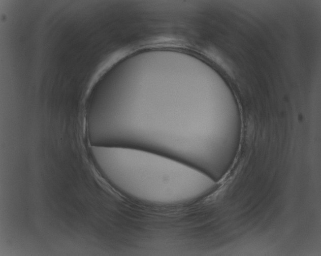 X0000081591413200701151014