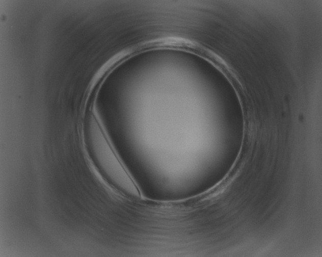 X0000081591418200701151014