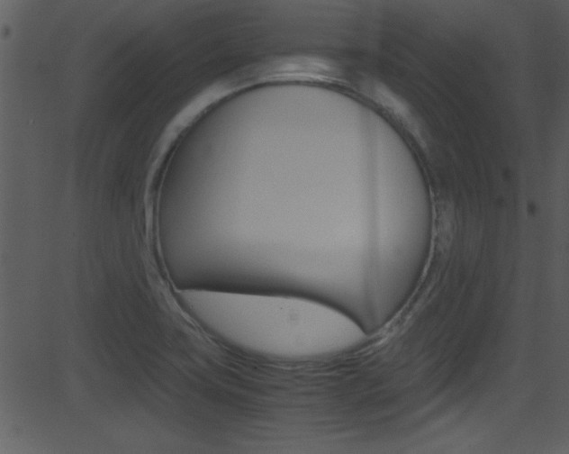 X0000081591419200701151014