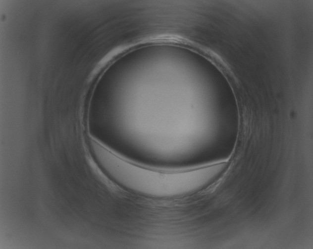 X0000081591422200701151014