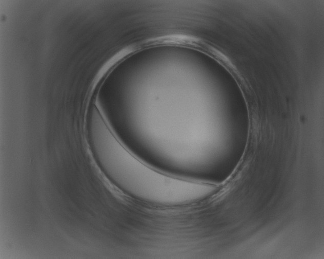 X0000081591426200701151014