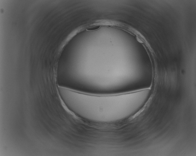 X0000081591433200701151015
