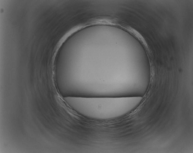 X0000081591435200701151015