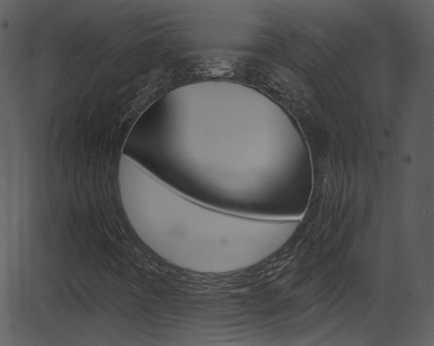X0000081591442200701151014