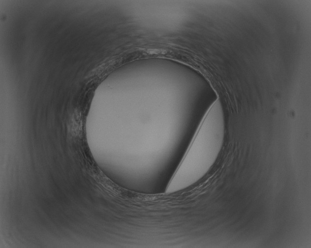 X0000081591443200701151014