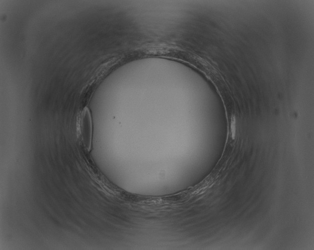 X0000081591444200701151014