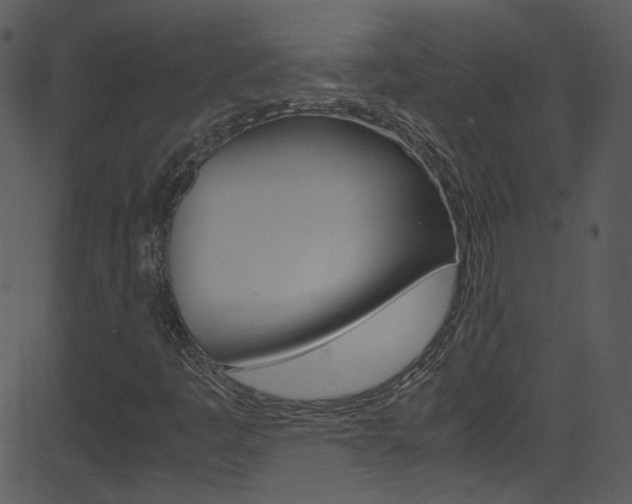X0000081591445200701151014