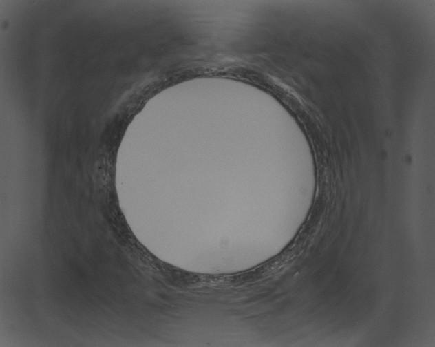 X0000081591447200701151014