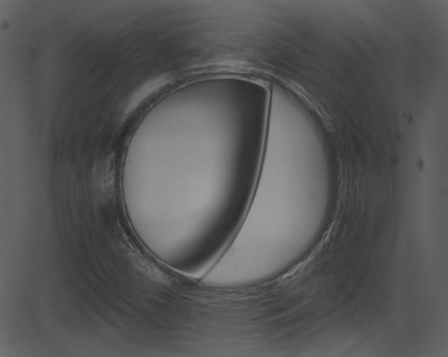 X0000081591450200701151014