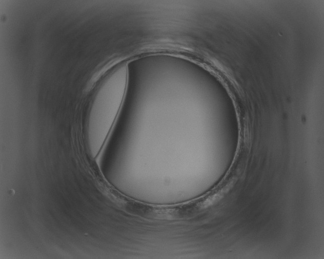 X0000081591453200701151014