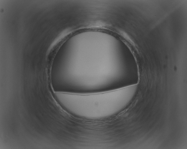 X0000081591456200701151014