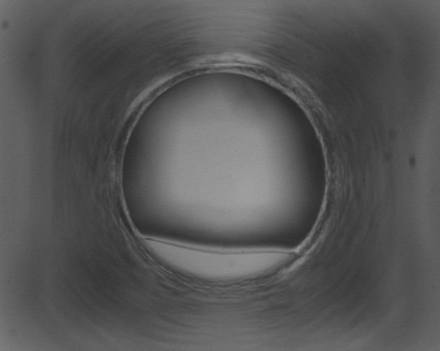 X0000081591457200701151014
