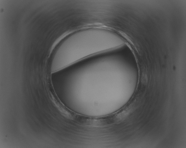 X0000081591458200701151014