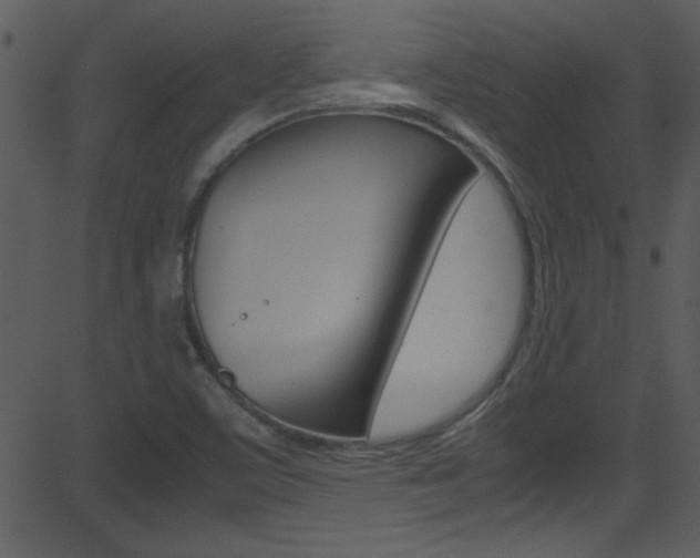 X0000081591459200701151014