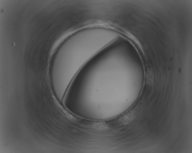 X0000081591464200701151014