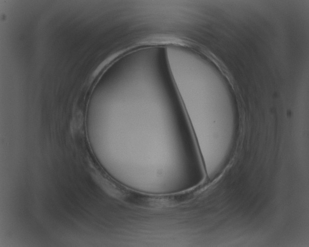 X0000081591465200701151014